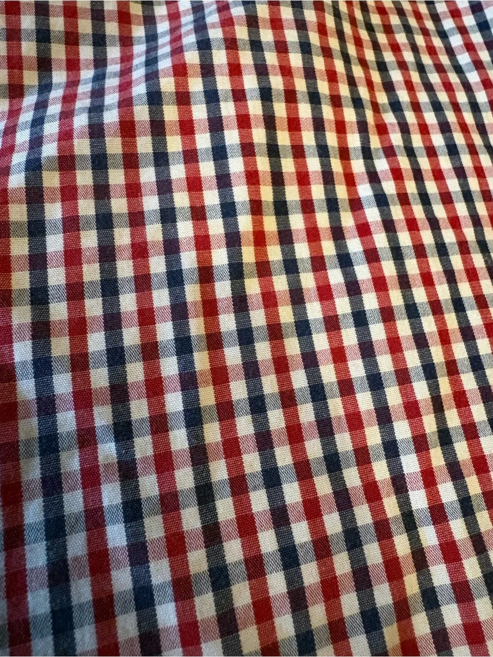 J. Crew Men's Red & Blue Gingham Button-Down Shirt